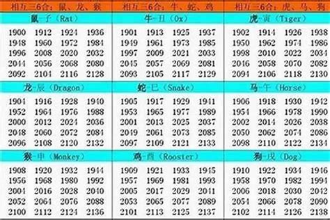 84屬什麼|84年属什么生肖 1984年出生什么生肖什么命